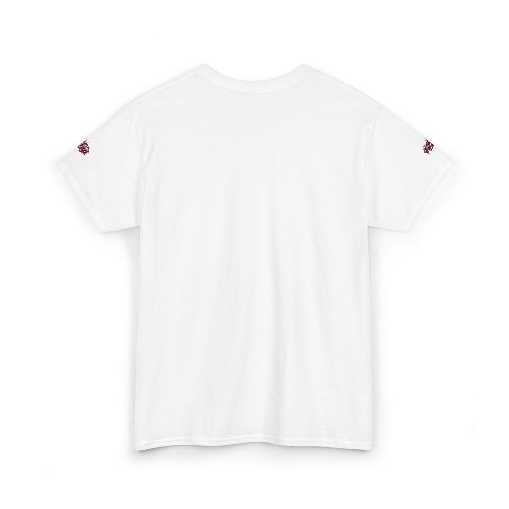 AZTRO Unisex Heavy Cotton Tee, Premium lux collection v1